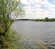 Image of SCOUT DIKE RESERVOIR
